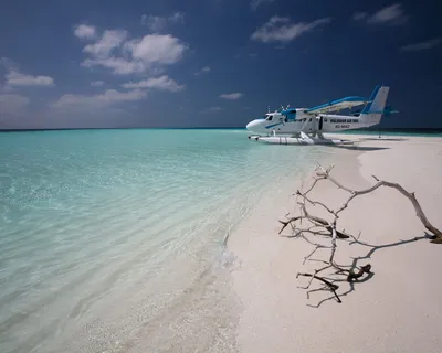 Вид из самолета на острова и живность Мальдивских островов.Мечта сбылась!))  — DRIVE2