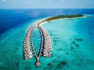 Что делать и где жить на Мальдивах бюджетному туристу | Тревел-Википедия  Piligrimos