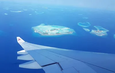 Гидросамолет на Мальдивах бесплатно: как заказать водный самолет на  Мальдивах в Планета Топ