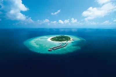Мальдивы: самый главный отдых - Travelinsider