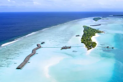 Пять часов из Бангкока до Мале, от Мале 40 минут на водном ( такси) самолете  и ты в райском месте 🌎🥹💙💙 Что рассказать про Мальдивы? | Instagram