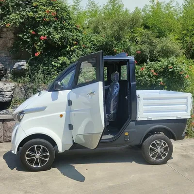 Китай Индивидуальные электрические мини-грузовики 3KW 4KW Производители  Поставщики Фабрика - Низкая цена