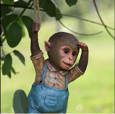 Домашняя обезьяна - 57 фото