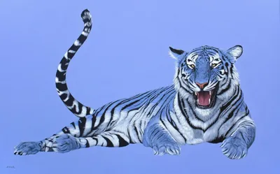 Черный водяной тигр - 59 фото