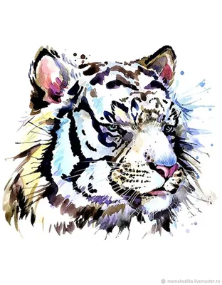 Существует ли мальтийский голубой тигр на самом деле? (3 фото) » Интересные  факты: самое невероятное и любопытное в мире