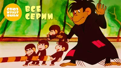 В обезьяний год: мартышки, которых знает весь мир – Москва 24, 31.12.2015