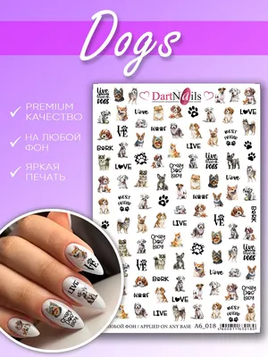 kads Шаблон для штамповки ногтей для штамповочных пластин, изображение  маленькой кошки, собаки, дизайн ногтей, штамп для маникюра – купить по  низким ценам в интернет-магазине Joom