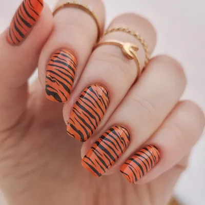 The Untamed Tiger - Press On Nails