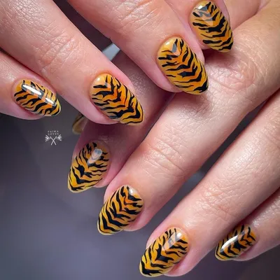 Loving these @moyou_london #barrym #hishine #gelly #orange #mango #black  #tiger #stripes #nails #nailart #moyou #… | Tiger nails, Striped nails,  Tiger stripe nails