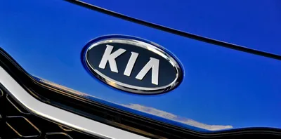 Kia снимает с продаж модель Rio. Но не везде — Motor