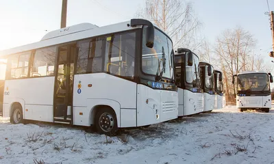 В Алматы на маршрут №65 вышли новые автобусы | Общественный транспорт Алматы