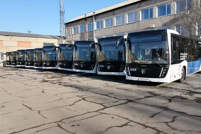 На маршруты по Уфе вышли еще 30 новых автобусов марки «НЕФАЗ»