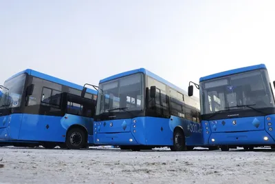 Новые автобусы марки «ЛИАЗ» скоро появятся на улицах Симферополя »  Официальный сайт ГУП РК Крымавтотранс