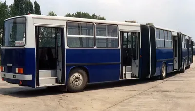 Как выглядят новые автобусы в Барнауле, где они ездят и сколько стоят - 12  июля 2023 - ngs22.ru