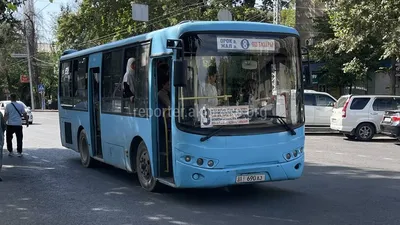 Как организовывают международные автобусные рейсы