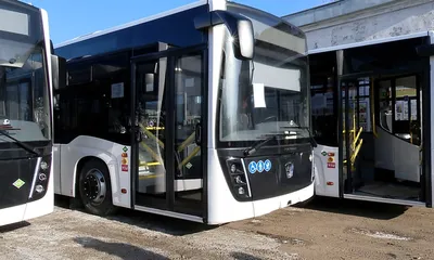 С сегодняшнего дня 13 новых автобусов марки «Вектор Некст» курсируют по  маршруту №39. В автобусе 20 посадочных мест, а общая вместимость… |  Instagram