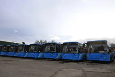 Мэрия закупает 17 экологичных автобусов на природном газе | Всe нoвoсти  Нижнегo Тaгилa