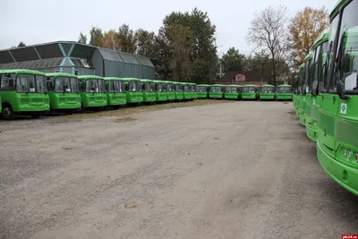 60 новых автобусов марки «НЕФАЗ» вышли на маршруты по Уфе
