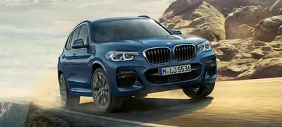 Лучший выбор в классе - Отзыв владельца автомобиля BMW X3 2019 года ( III  (G01) ): 30d xDrive 3.0d AT (249 л.с.) 4WD | Авто.ру