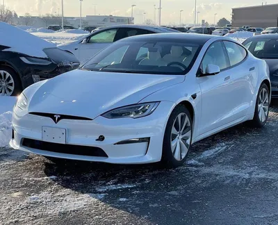 Что нужно учитывать при покупке автомобиля Tesla в России