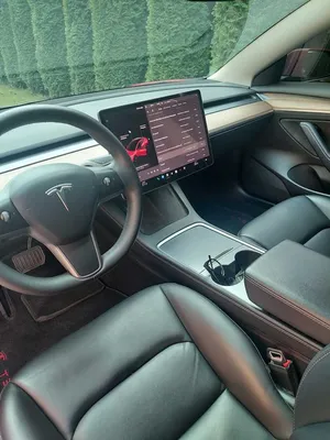 Tesla Model X Long Range Plus 2020 г.в. - TeslaPark