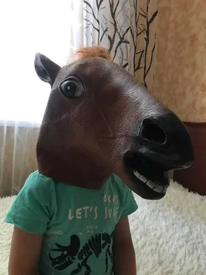 ФОТО НАСТОЯЩЕЕ!!! Реалистичная маска лошади коня: 450 грн. - Другие подарки  Киев на Olx