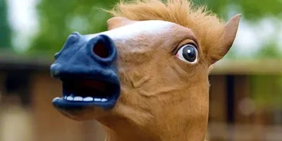 Маска Конь. Купить маску головы коня | фото, цена