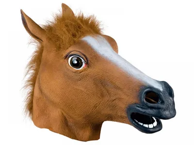 Маска лошади. Купить маску головы лошадь | фото, цена