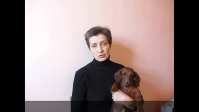 Лечение ложной щенности | Ветврач Купарев Леонид