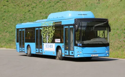 МАЗ 203965 — Купи газовый автобус МАЗ 203 у дилера МАЗ №1 ?