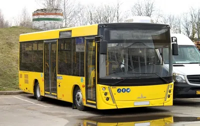 Купить автобус МАЗ 206047 у официального дилера - Главмазторг