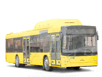 МАЗ 203С65 автобус пригородный на природном газе. Продаем. Купить автобусы  на метане с поставкой по России