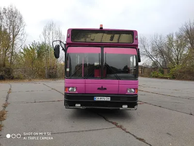 Автобусы МАЗ: купить автобус МАЗ новый и бу на OLX.ua Украина