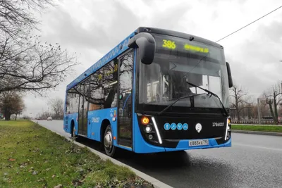 Новый туристический автобус МАЗ-350