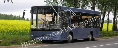Пригородный автобус МАЗ-103564 продается. Купить новый автобус с поставкой  по России