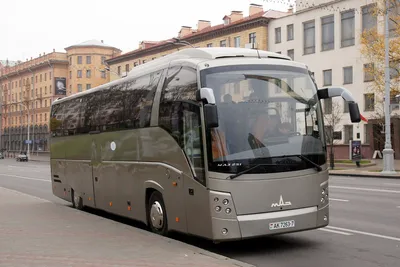 Автобус МАЗ 206 - Технические характеристики, цена, фото - Купить в Нижнем  Новгороде