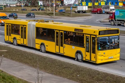 В Николаеве продолжают поиск водителей на новые городские автобусы «МАЗ» |  СВІДОК.info