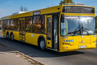В Белоруссии возобновили производство автобусов-гармошек МАЗ-216
