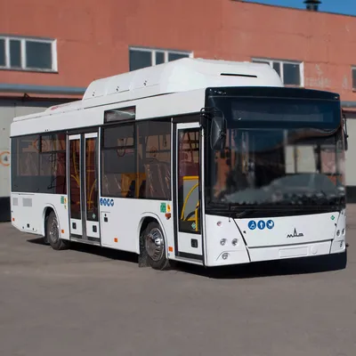 МАЗ представил укороченный междугородний автобус Автомобильный портал 5  Колесо