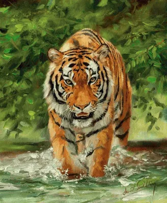 https://priroda.club/52780-balijskij-tigr-32-foto.html