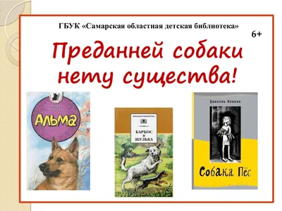 Сапсан порода собак (80 фото) - картинки sobakovod.club