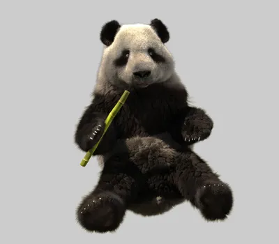 медведь панда сидит на бревне в лесу, картинки панды, панда, животное фон  картинки и Фото для бесплатной загрузки