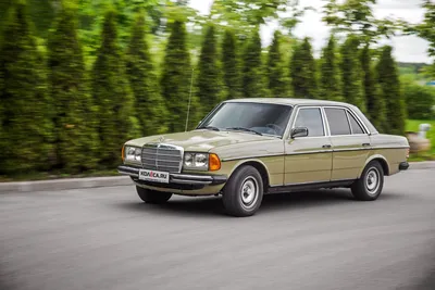 После 30 все только начинается: тест-драйв Mercedes-Benz W123 - КОЛЕСА.ру –  автомобильный журнал