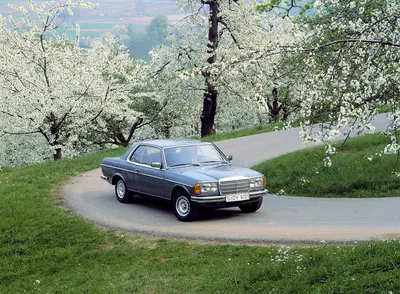 Подкрылки Mercedes W123 (1975-1985) (4шт.) купить, цена, отзывы, фото,  доставка, хмельницкий