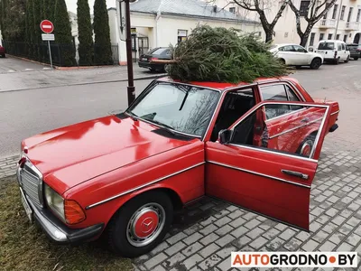 Коллекционная модель Mercedes-Benz 200 W123, масштаб 1:18, цвет зеленый  купить | Интернет-магазин CORS