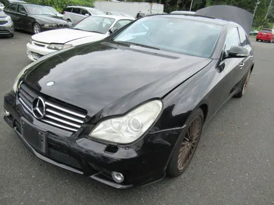 Комплект - обвес AMG Style на Mercedes CLS W219
