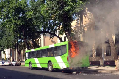 В Ташкенте снова сгорел автобус Mercedes — четвертый за три месяца •  Автострада