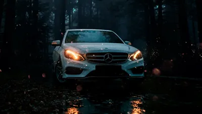 Обои mercedes, автомобиль, белый, вид спереди, лес картинки на рабочий стол,  фото скачать бесплатно