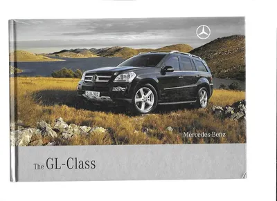 Mercedes-Benz GL-class (X164) 3.2 дизельный 2008 | 🇩🇪White Star🇩🇪 на  DRIVE2