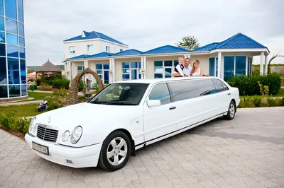 Белый лимузин Мерседес W220 на свадьбу | Свадебные авто